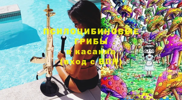 гашик Абинск