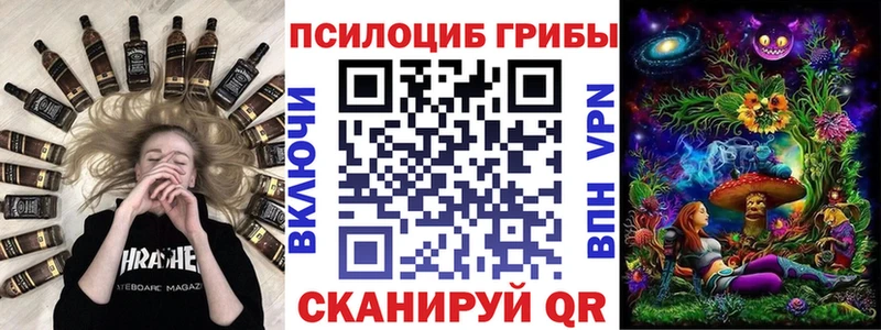 Галлюциногенные грибы ЛСД цена Щучье